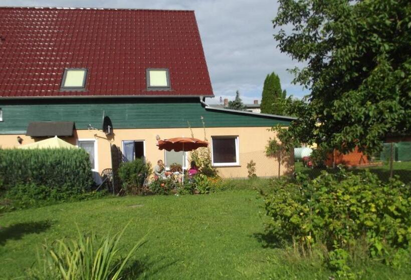 Студия Стандарт, Pension Lindenhof