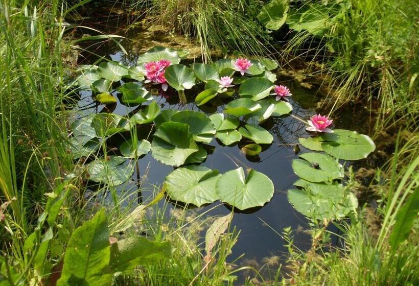 带1个卧室的公寓, Pension Lindenhof