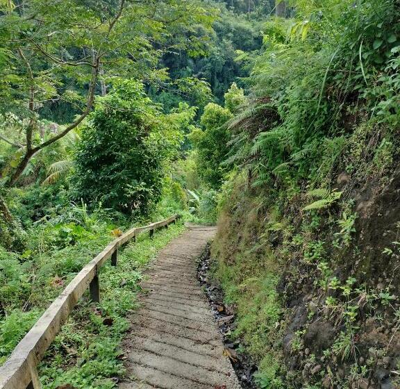 חדר סטנדרט עם מרפסת, D Kailash Retreat