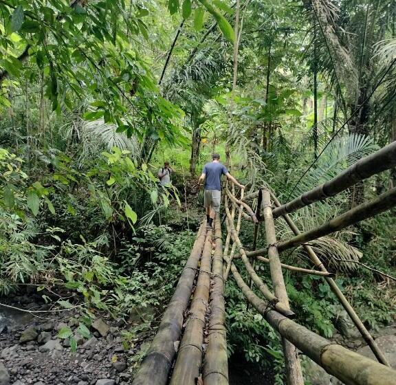 חדר אקונומי, D Kailash Retreat