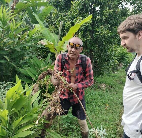 חדר סטנדרט, D Kailash Retreat