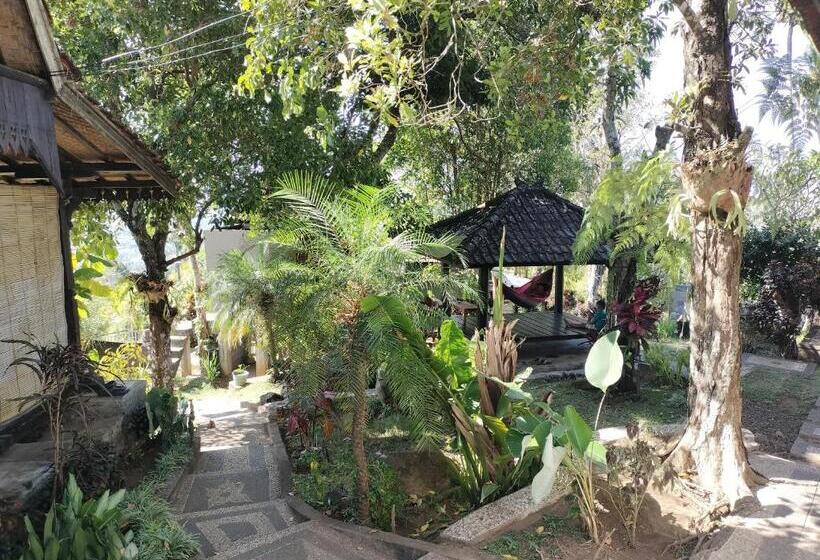 חדר אקונומי, D Kailash Retreat