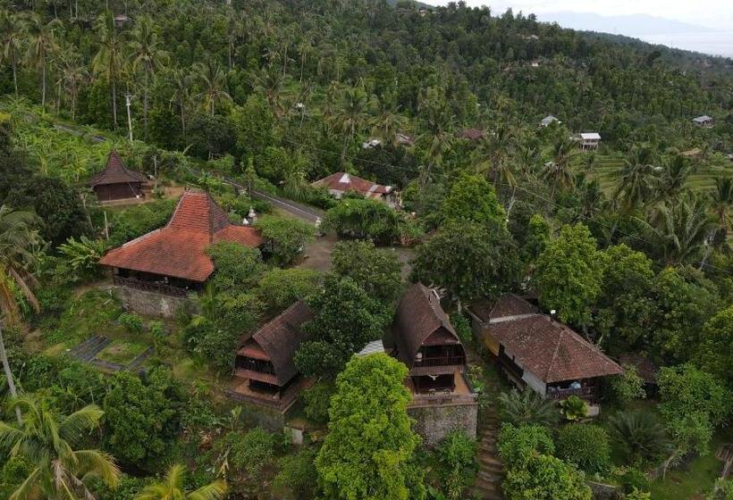 Номер Стандарт, D Kailash Retreat