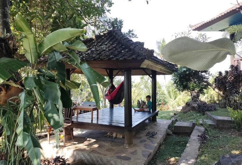 Номер Стандарт, D Kailash Retreat