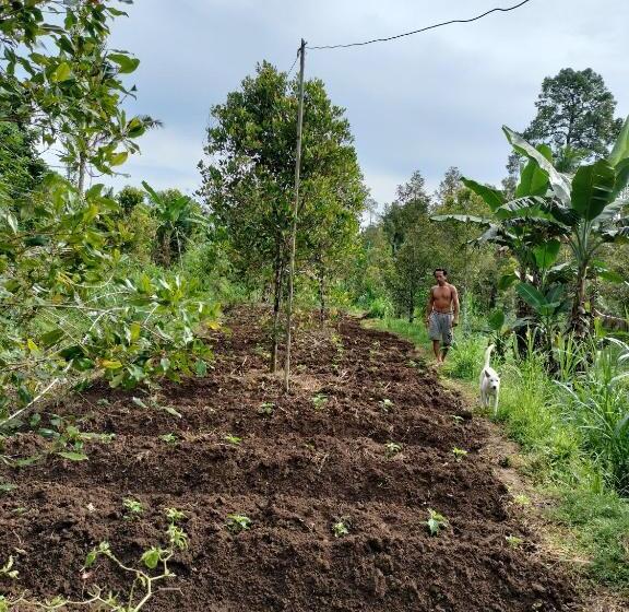 חדר סטנדרט נוף לגינה, D Kailash Retreat