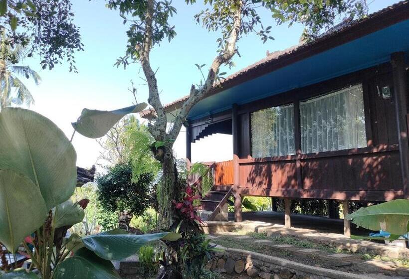Номер Стандарт, D Kailash Retreat