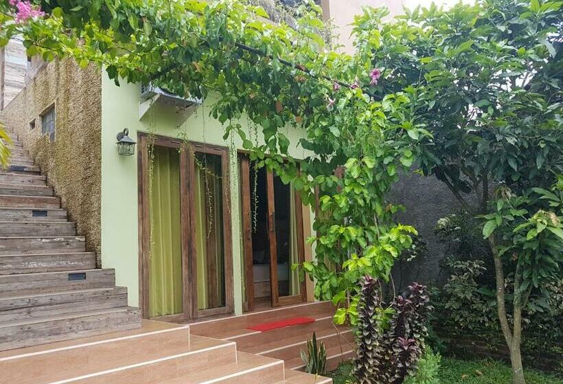 高级园景房, Agaliving Medewi