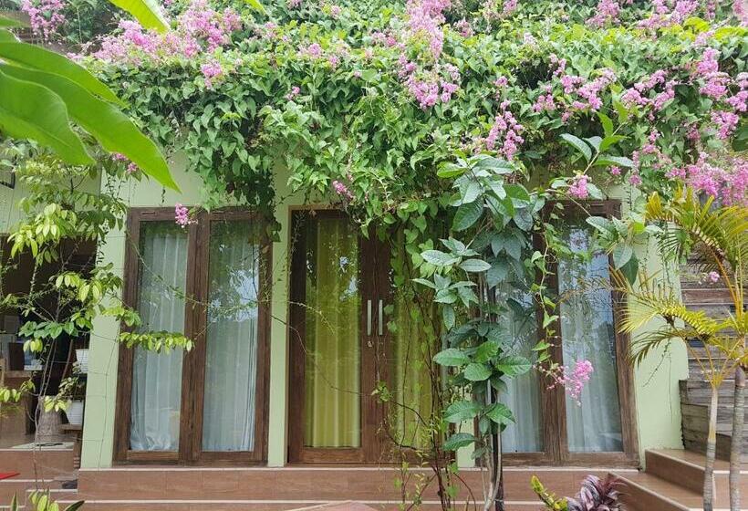 高级园景房, Agaliving Medewi