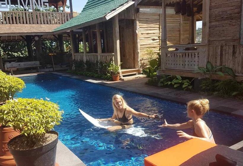 豪华洋房, Agaliving Medewi