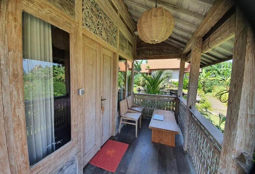 高级洋房, Agaliving Medewi