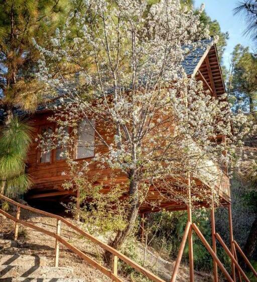کلبه ییلاقی, Suro Treehouse Resort