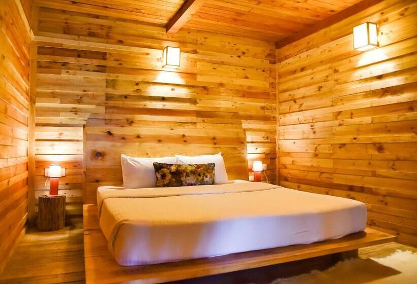 کلبه ییلاقی, Suro Treehouse Resort