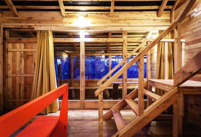 کلبه ییلاقی, Suro Treehouse Resort