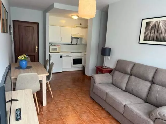 آپارتمان سوپریور 1 خوابه, Apartamentos Club Condal