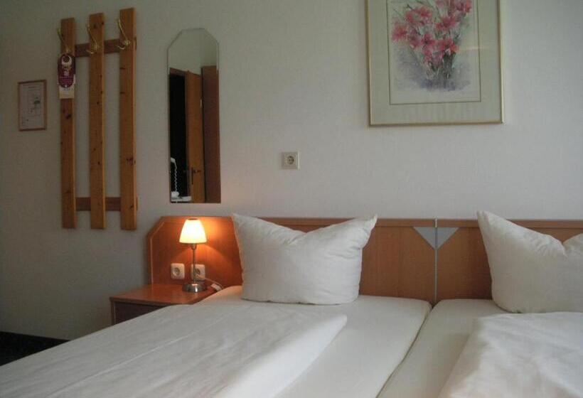 غرفة قياسية, Akzent Hotel Schranne