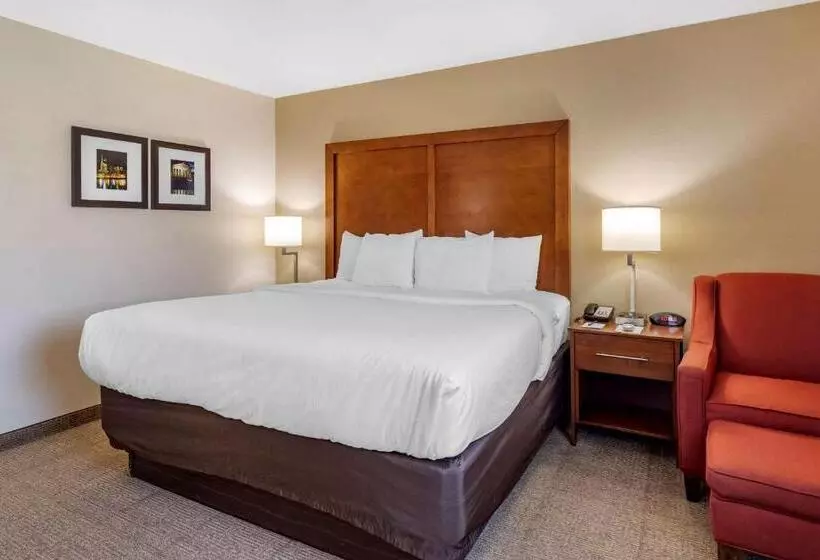 キングサイズベッドのスタンダードルーム, Comfort Inn Nashville West