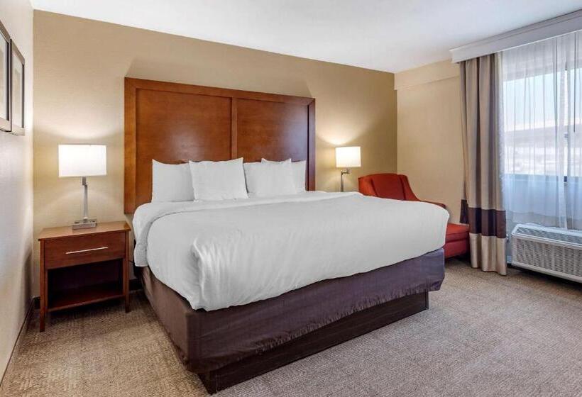Pokój Standard Łóżko King Size, Comfort Inn Nashville West