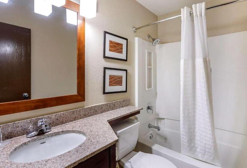 اتاق استاندارد با تخت بزرگ, Comfort Inn Nashville West