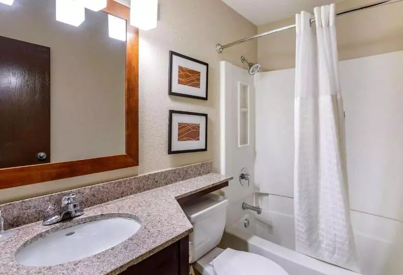 キングサイズベッドのスタンダードルーム, Comfort Inn Nashville West