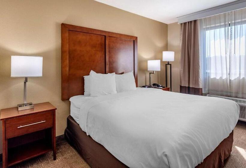اتاق سوپریور, Comfort Inn Nashville West