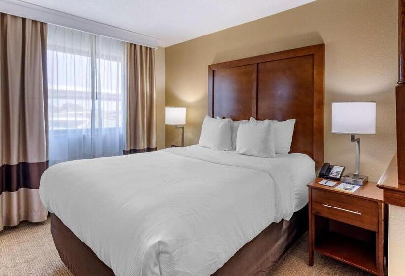 Suite, Comfort Inn Nashville West
