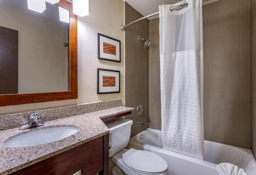 Sviitti, Comfort Inn Nashville West