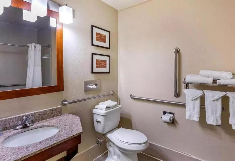 身障者適用スタンダードルーム, Comfort Inn Nashville West