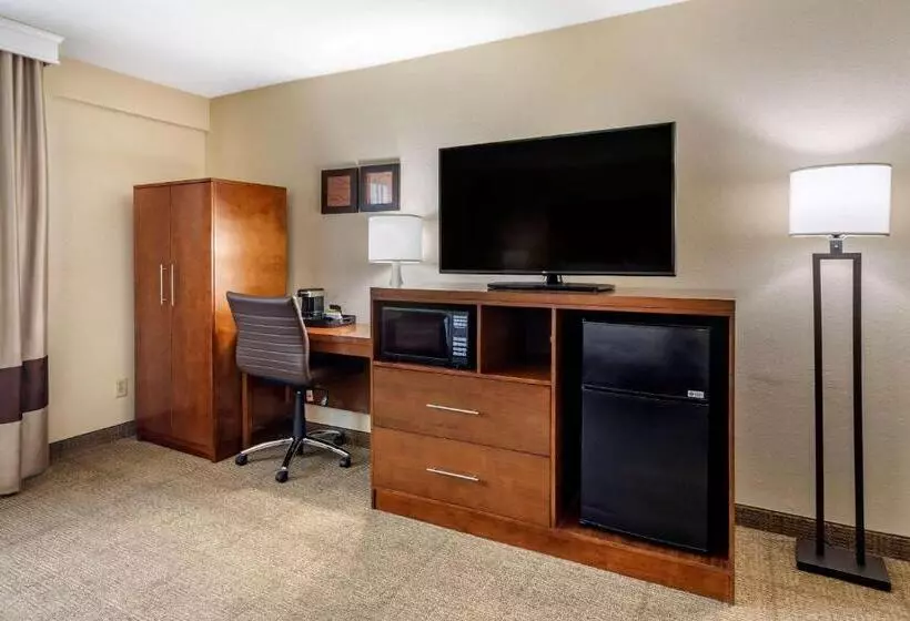 身障者適用キングサイズベッドルーム, Comfort Inn Nashville West