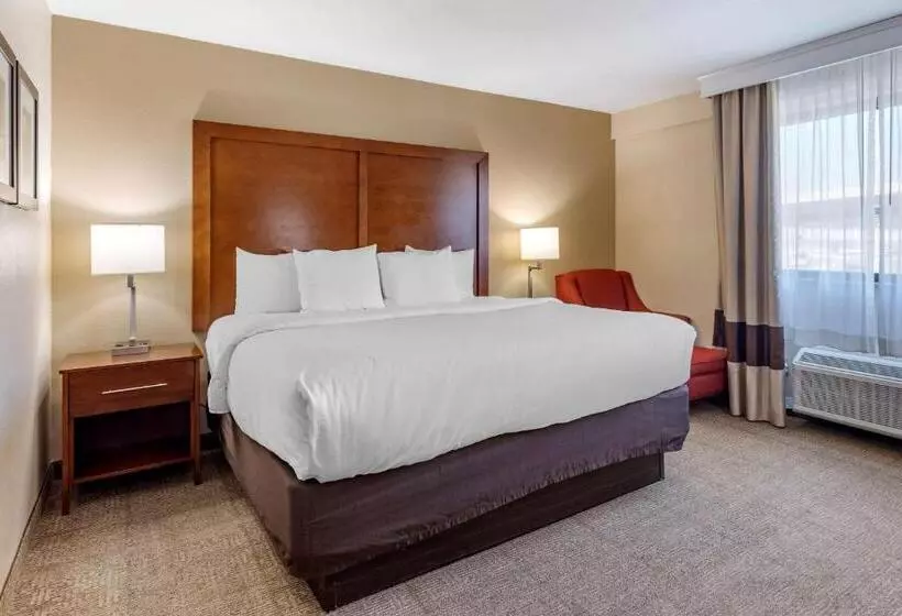 身障者適用キングサイズベッドルーム, Comfort Inn Nashville West