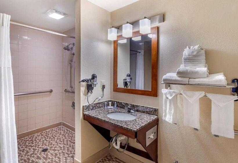 اتاق استاندارد با تخت بزرگ برای معلولان, Comfort Inn Nashville West