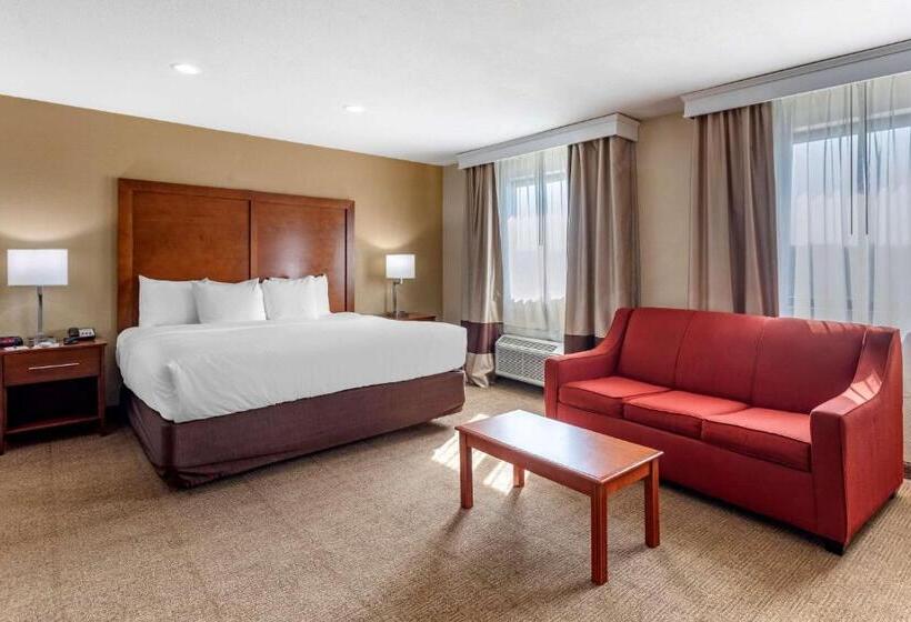 اتاق سوپریور, Comfort Inn Nashville West