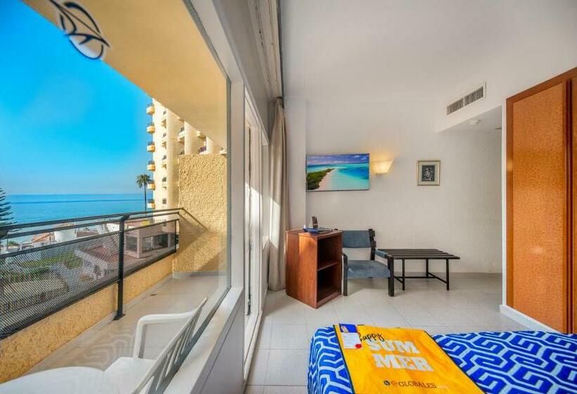 스탠다드 룸, Globales Gardenia