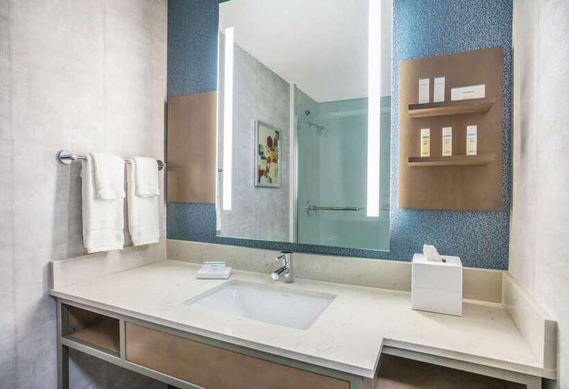 Номер Deluxe, Hilton Vancouver Metrotown