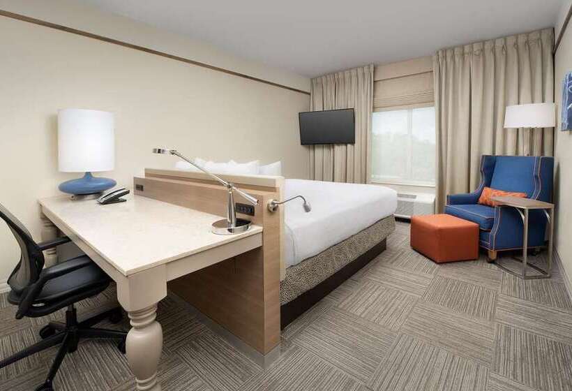 اتاق استاندارد با تخت بزرگ, Hilton Vienna Waterfront