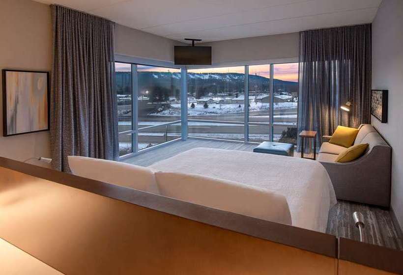 스탠다드 룸 킹사이즈 침대, Hilton Vienna Waterfront