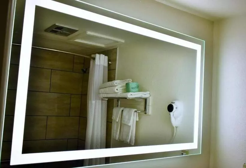 اتاق استاندارد با تخت بزرگ, Knights Inn Page