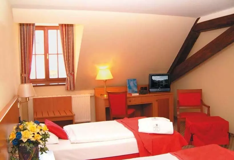اتاق استاندارد یک نفره, Romantik Hotel Tuchmacher