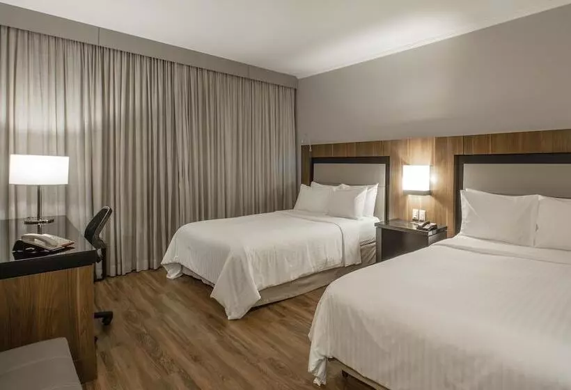 エクゼクティブルーム, Marriott São Paulo Airport