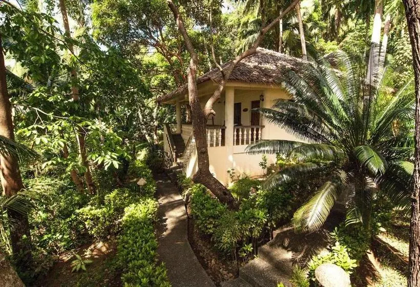 オーシャンビュースーペリアールーム, Easy Diving And Beach Resort