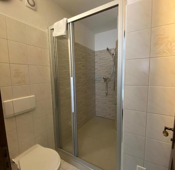 标准间带阳台, Antico