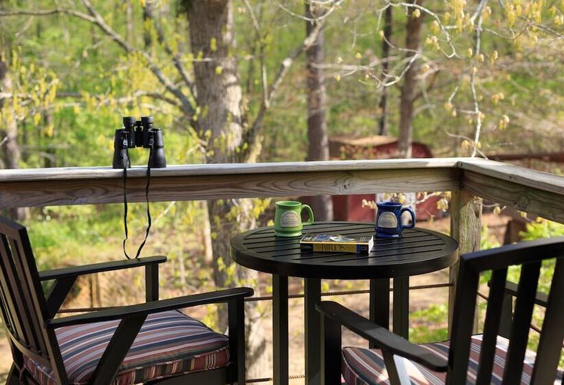 غرفة قياسية, Tiffany S Bed And Breakfast