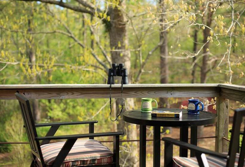 غرفة قياسية, Tiffany S Bed And Breakfast