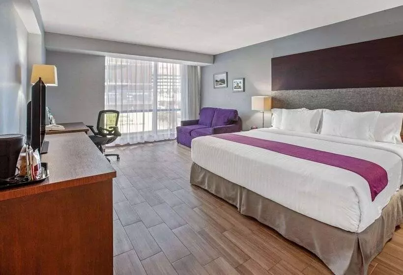 エクゼクティブルーム, CHN Hotel Monterrey Centro, Trademark Collection by Wyndham