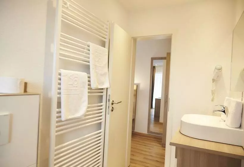 プレミアムルーム, Flair Hotel Grüner Baum