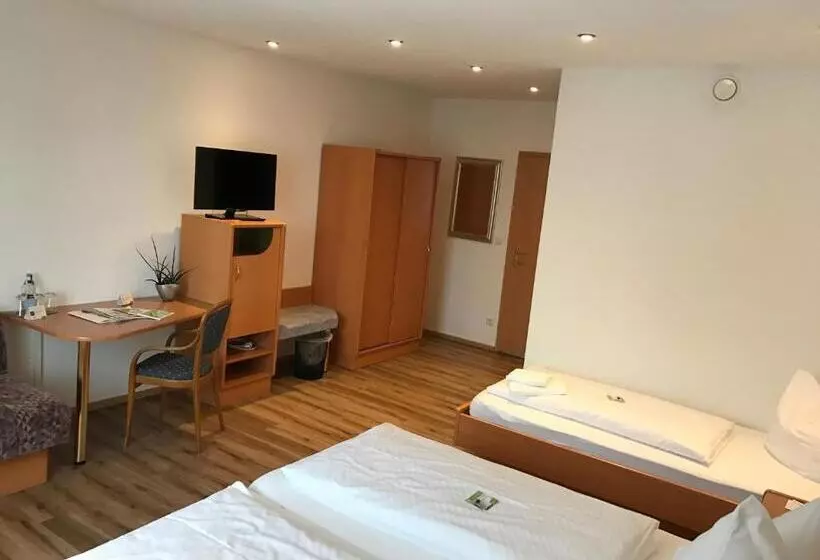 スタンダードトリプルルーム, Flair Hotel Grüner Baum