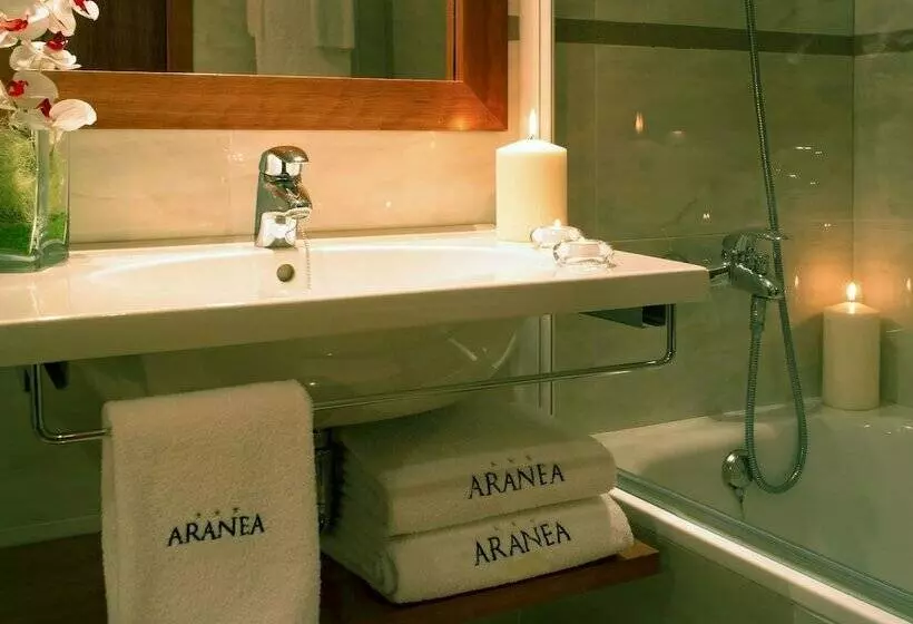 اتاق استاندارد یک نفره, Best Aranea