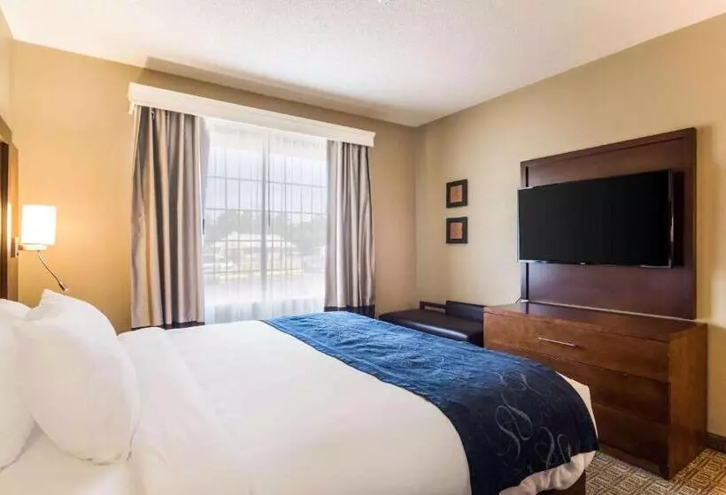 キングサイズベッドのスイートルーム, Comfort Suites