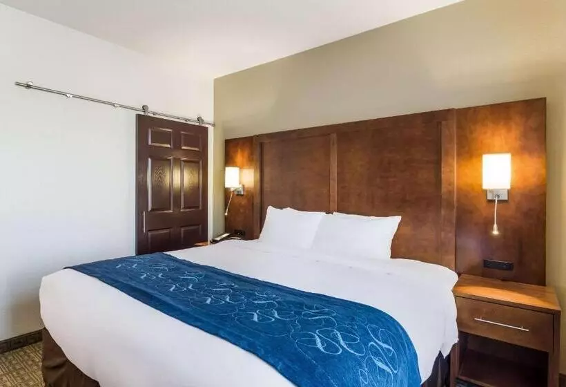 キングサイズベッドのスイートルーム, Comfort Suites