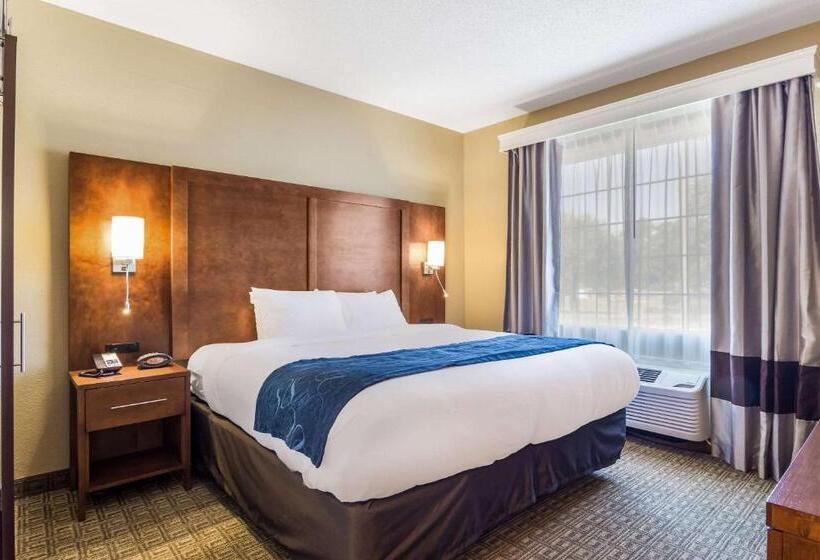 Люкс Кровать Кинг, Comfort Suites
