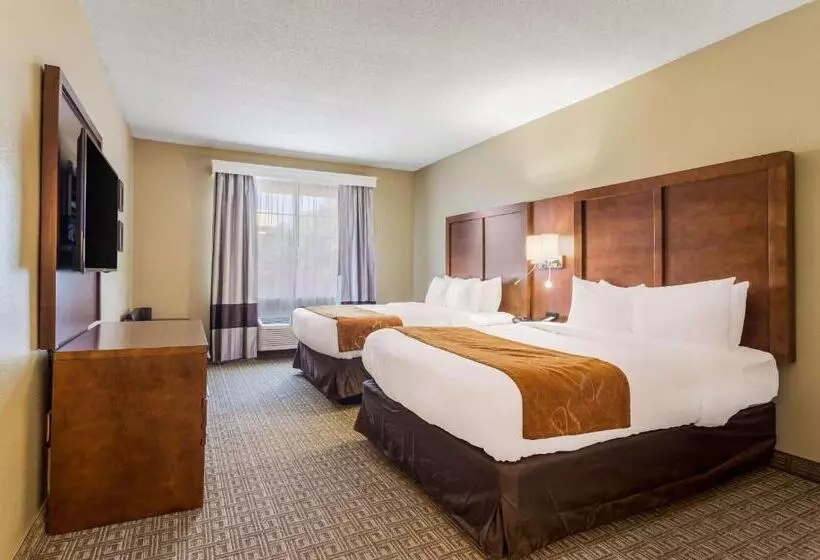 スイート, Comfort Suites